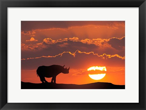 Framed Kenya, Masai Mara Composite Of White Rhino Silhouette And Sunset Print