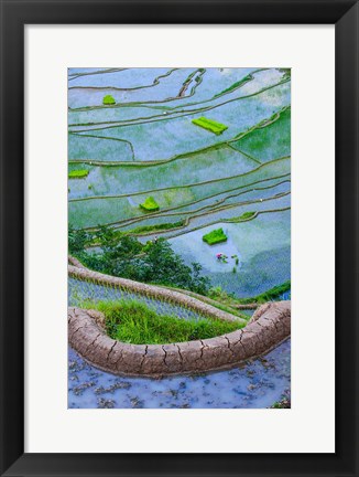 Framed Rice Terraces Of Banaue, Philippines Print