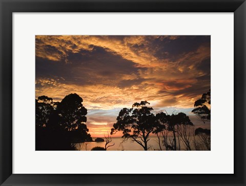 Framed Australia, Tasmania, Freycinet, Sunrise Print