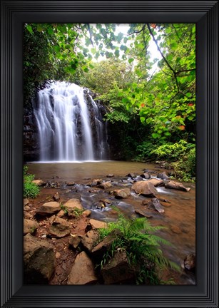 Framed Ellinjaa Falls,  Waterfall Circuit, Queensland, Australia Print
