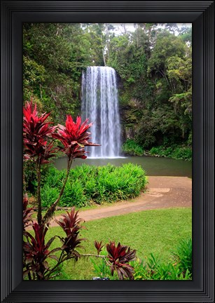 Framed Millaa Millaa Falls, Queensland, Australia Print