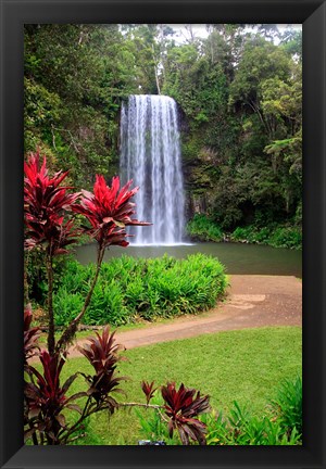 Framed Millaa Millaa Falls, Queensland, Australia Print