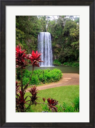 Framed Millaa Millaa Falls, Queensland, Australia Print