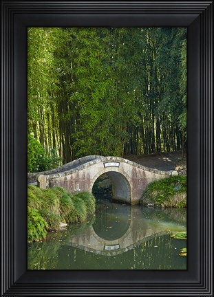 Framed Chinese Scholar&#39;s Garden, North Island, New Zealand Print