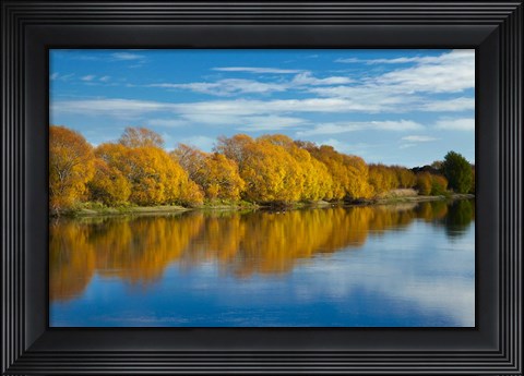 Framed Autumn Colour And Clutha River At Kaitangata, South Island, New Zealand Print
