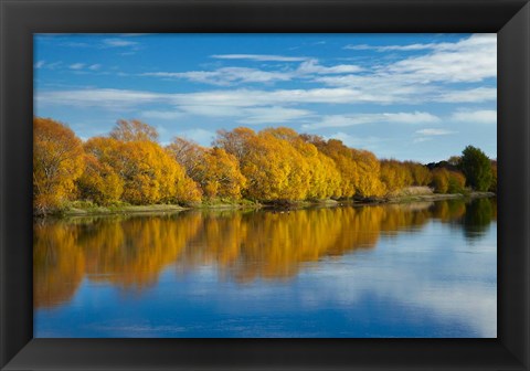 Framed Autumn Colour And Clutha River At Kaitangata, South Island, New Zealand Print