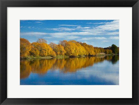 Framed Autumn Colour And Clutha River At Kaitangata, South Island, New Zealand Print