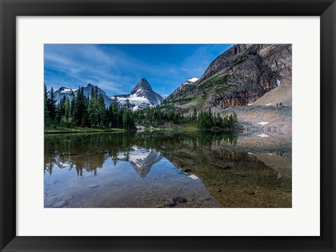 Framed Mount Assiniboine Reflected In Sunburst Lake Print