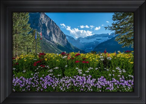 Framed Wildflowers In Banff National Park Print