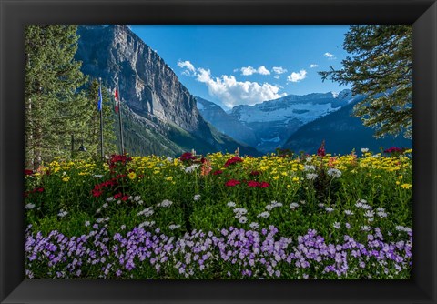 Framed Wildflowers In Banff National Park Print