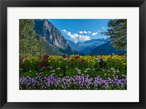 Framed Wildflowers In Banff National Park Print