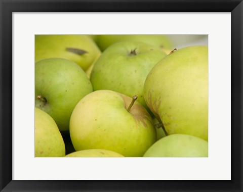 Framed Canada, British Columbia, Cowichan Valley Close-Up Of Green Apples Print