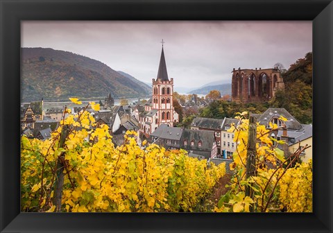 Framed Germany, Rhineland-Pfalz, Bacharach, Elevated Town View In Autumn Print