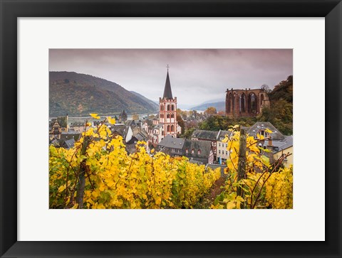 Framed Germany, Rhineland-Pfalz, Bacharach, Elevated Town View In Autumn Print