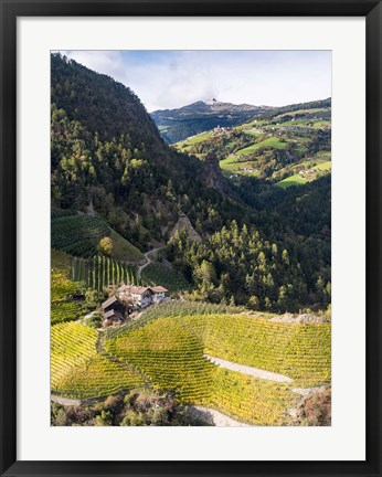 Framed Viniculture Near Klausen In South Tyrol During Autumn, Italy Print