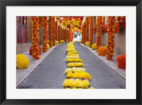 Framed Portugal, Santarem District Trays Festival Print