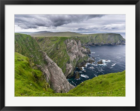 Framed Hermaness National Nature Reserve On Unst Island Shetland Islands Print