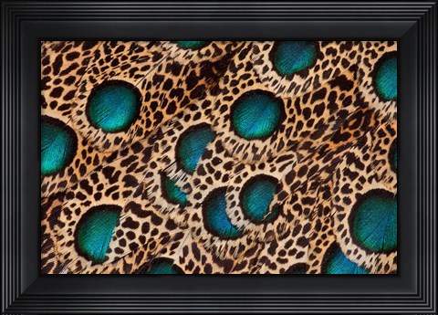 Framed Feather Design Of The Malay Peacock Pheasant Print