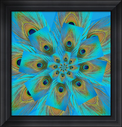Framed Male Peacock Tail Feather Design Print
