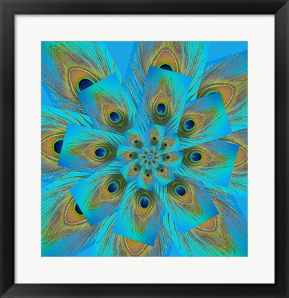Framed Male Peacock Tail Feather Design Print