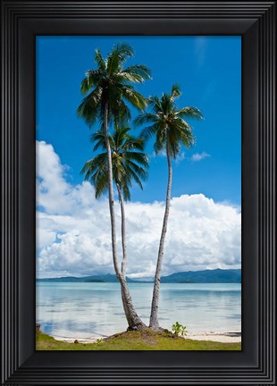 Framed Lonely Palm Tree In The Marovo Lagoon, Solomon Islands Print