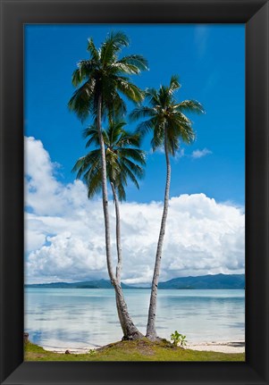 Framed Lonely Palm Tree In The Marovo Lagoon, Solomon Islands Print