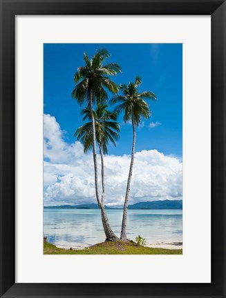Framed Lonely Palm Tree In The Marovo Lagoon, Solomon Islands Print