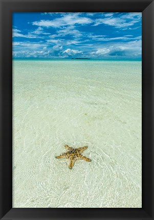 Framed Sea Star In The Sand On The Rock Islands, Palau Print