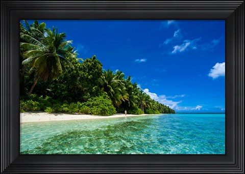 Framed White Sand Beach In Turquoise Water In The Ant Atoll, Micronesia Print