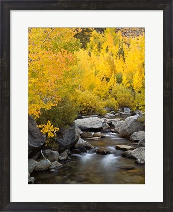 Framed California, Eastern Sierra Bishop Creek During Autumn Print