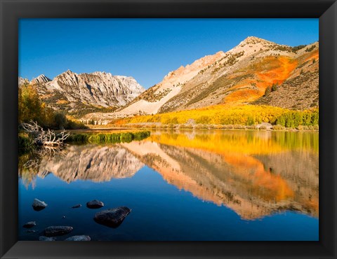 Framed California, Eastern Sierra, Fall Color Reflected In North Lake Print