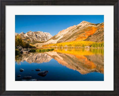 Framed California, Eastern Sierra, Fall Color Reflected In North Lake Print
