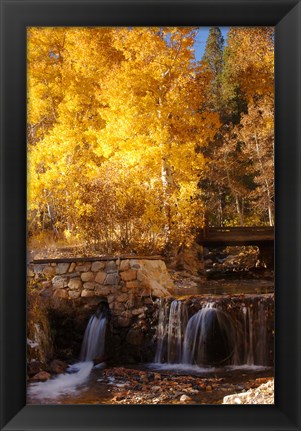 Framed Autumn Waterfalls In The Sierra Print