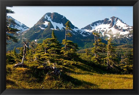 Framed Mount Eccles Near Cordova, Alaska Print