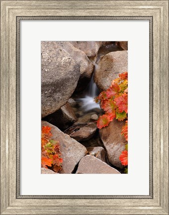 Framed Small Waterfall In The Sierra Nevada Mountains Print