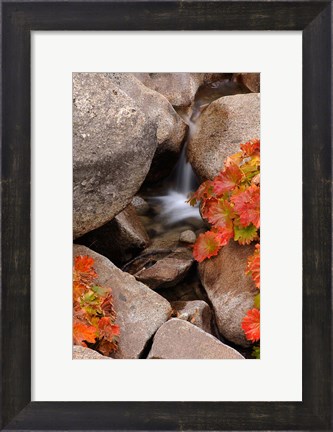 Framed Small Waterfall In The Sierra Nevada Mountains Print