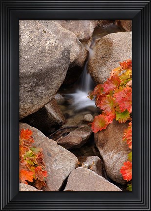 Framed Small Waterfall In The Sierra Nevada Mountains Print