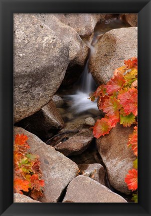 Framed Small Waterfall In The Sierra Nevada Mountains Print