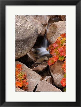 Framed Small Waterfall In The Sierra Nevada Mountains Print