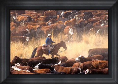 Framed Cowboy Cattle Drive Print