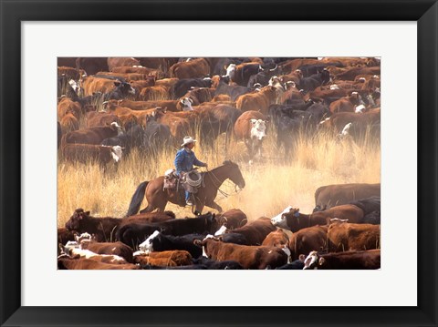 Framed Cowboy Cattle Drive Print