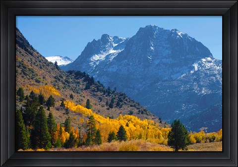 Framed Fall In Eastern California Print