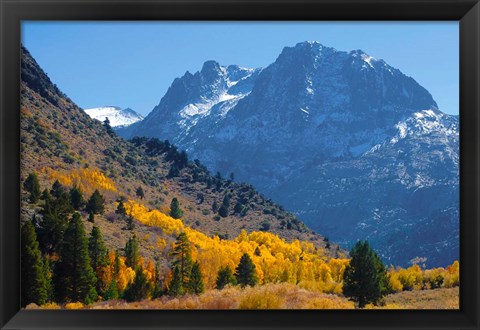 Framed Fall In Eastern California Print