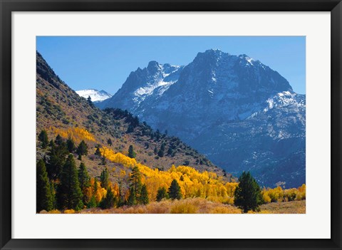 Framed Fall In Eastern California Print