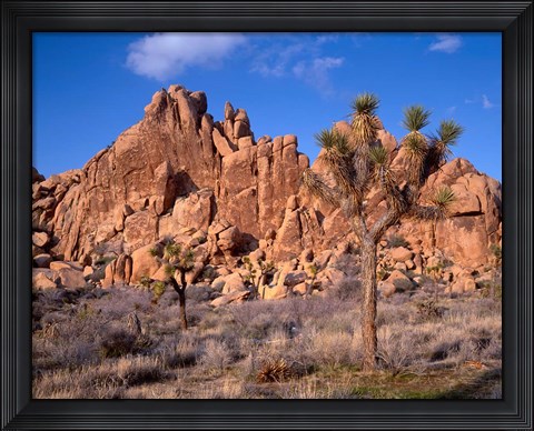 Framed Joshua Tree National Park, Trees And Mountains, California Print