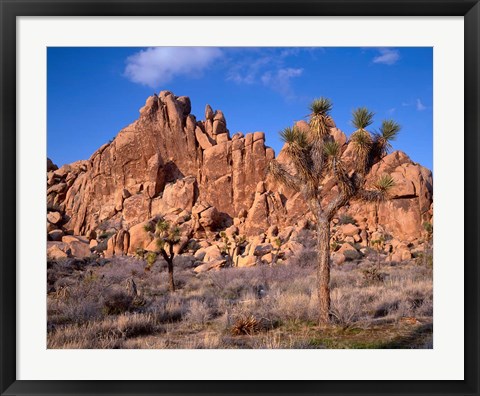 Framed Joshua Tree National Park, Trees And Mountains, California Print