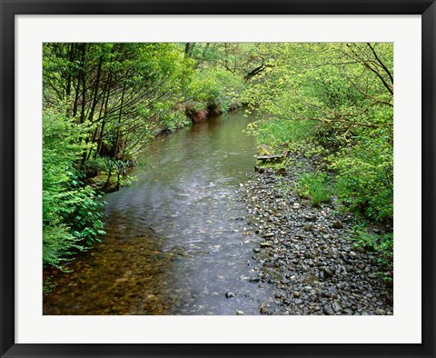 Framed Prairie Creek, California Print