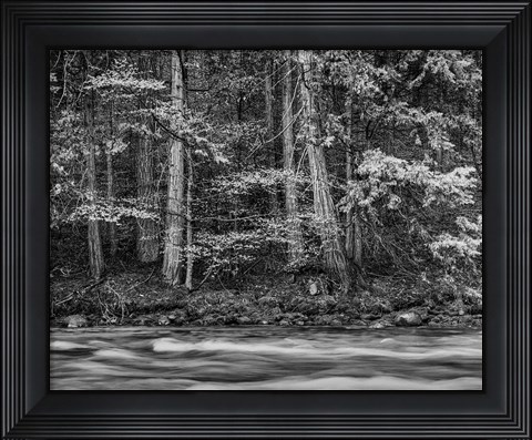 Framed California, Yosemite (BW) Print