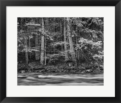 Framed California, Yosemite (BW) Print