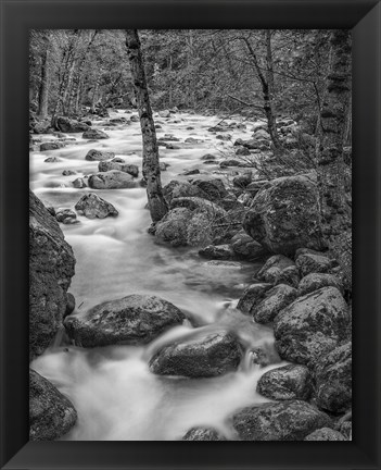 Framed Yosemite Happy Isles, California (BW) Print